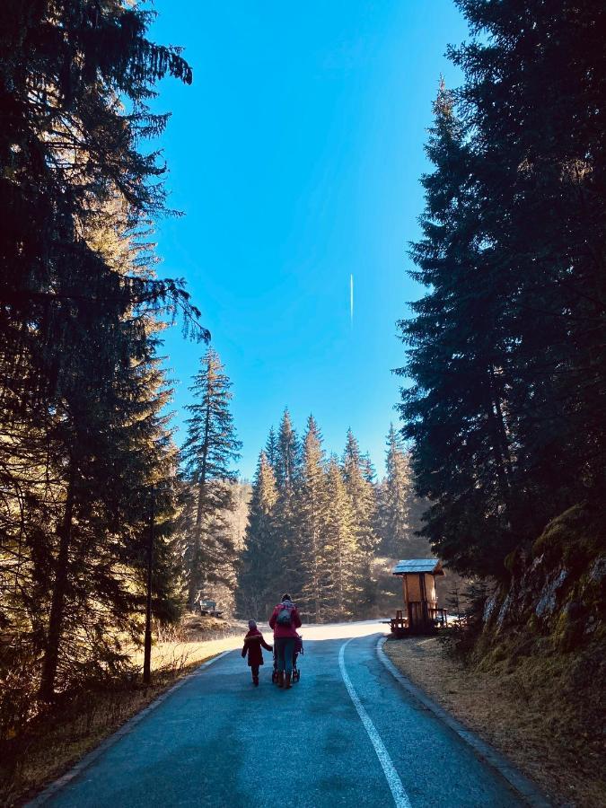 Magia Di Montagna Villa Zabljak  Bagian luar foto