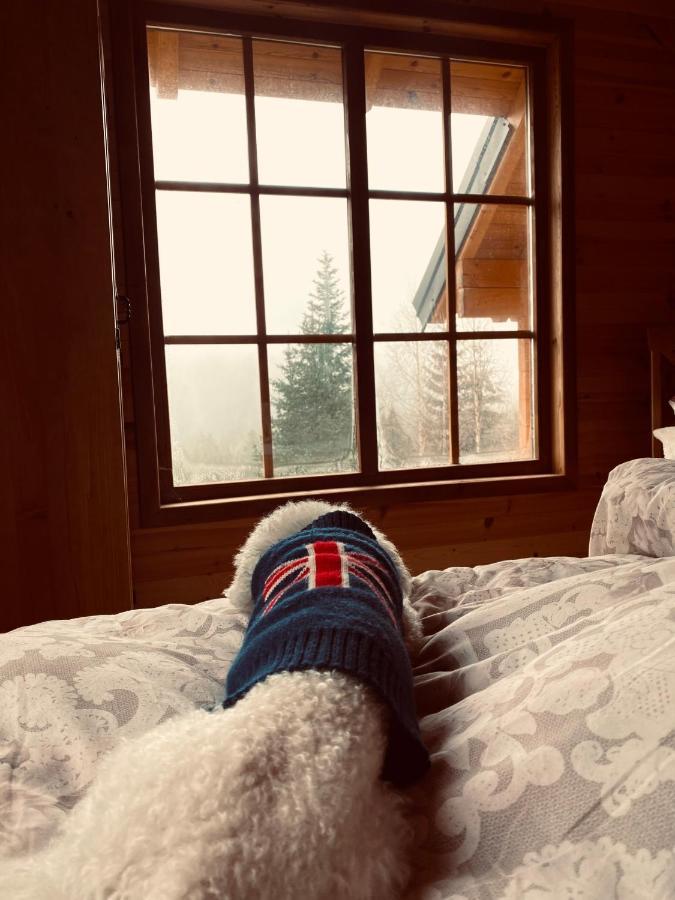 Magia Di Montagna Villa Zabljak  Bagian luar foto