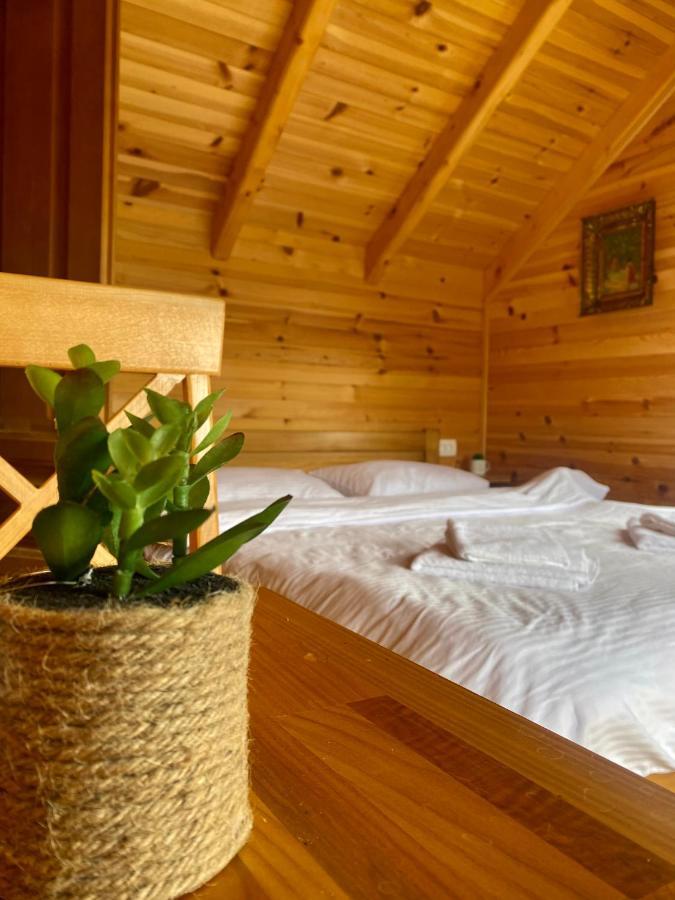 Magia Di Montagna Villa Zabljak  Bagian luar foto